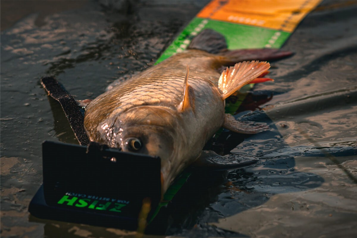 ZFISH FISHING METER CHALLENGER